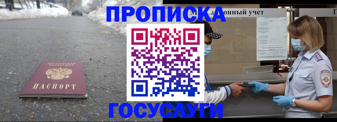 прописка гарантия в Ельне